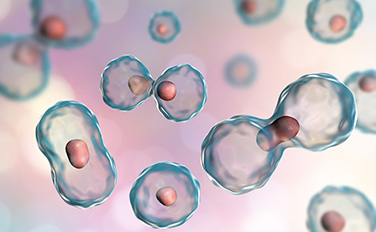 万利·(中国区)有限公司官网